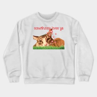 Some Bunny loves you Maine Coon cat Crewneck Sweatshirt